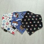Skulls Dribble Bib Bundle